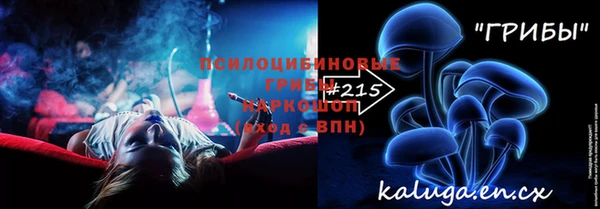 шишки Балахна