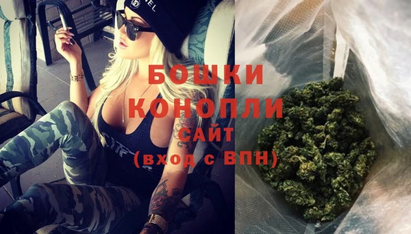 бошки Осинники