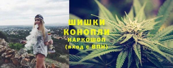 шишки Балахна